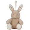 Image de Little Dutch Newborn Knuffelkonijn Licht & Geluid