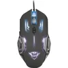 Image de TRUST Souris Gaming Filaire Rava Illuminated GXT108