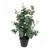 Image de Present Time [DL] Plante artificielle feuille d'eucalyptus