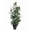 Image de Present Time [DL] Plante artificielle feuille d'eucalyptus Large