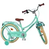 Image de Volare Excellent 18" Green - CB with Front Carrier 95%