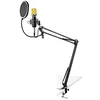 Image de VONYX CMS400B Microphone de Studio doré - Ensemble Microphone à Condensateur avec Bras Réglable et Filtre Anti-Pop, Alimentation Fantôme 48 Volts, Connexion Directe à Un Ordinateur (Jack 3,5mm)