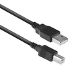 Image de ACT Câble de connexion USB 2.0 A mâle vers B mâle AC3045 5 m