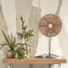 Image de GOOD & MOJO Applique murale Zanzibar, Ø 40 cm, Natur