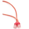 Image de Gembird CÂBLE RÉSEAU UTP CAT5e 0,25M ROUGE PP12-0,25M/R