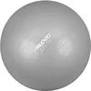Image de Balle de fitness Avento Ø 55