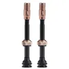 Image de BBB Lot de 2 valves sans Chambre à air CoreCap AL - Aluminium léger - 60 mm - 300% de débit d'air en Plus - Compatibilité Universelle de la Pompe - Cuivre - BTI-166