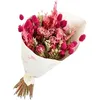 Image de Naturalys - Bouquet de Fleurs séchées Trendy Pink 50 cm