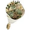 Image de Naturalys - Bouquet de Fleurs séchées Vert 50 cm