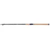 Image de Rod Catana FX Spinning Tele