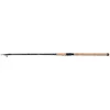 Image de Rod Catana FX Spinning Tele