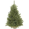 Image de Triumph Tree Forest Frosted Sapin de Noël Artificiel en Jute - H90 x Ø62 cm - Vert
