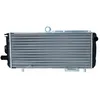 Image de NRF 58701 Radiateur, refroidissement du moteur