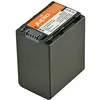Image de JUPIO Batterie Sony NP-FV100