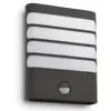 Image de Philips Raccoon applique LED anthracite