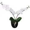 Image de vidaXL Plante artificielle avec pot Orchidée 30 cm Blanc