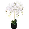 Image de vidaXL Plante artificielle avec pot Orchidée 75 cm Blanc