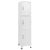 Image de vidaXL Armoire à casier avec 3 compartiments 38x45x180 cm