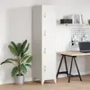 Image de vidaXL Armoire à casier avec 4 compartiments 38x45x180 cm