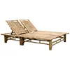 Image de vidaXL Chaise Longue à 2 Places avec Dossier Réglable Transat Bain de Soleil