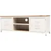 Image de vidaXL Meuble TV 120x30x40 cm Blanc