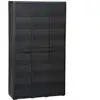 Image de vidaXL Armoire de rangement de jardin avec 4 étagères Noir