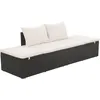 Image de vidaXL Lit de Jardin Noir Résine Tressée Meuble de Patio Terrasse Extérieur