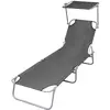 Image de vidaXL Chaise longue pliable avec auvent Acier Gris