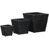Image de vidaXL Lits surélevés 3 pcs Jacinthe d'eau Noir