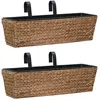 Image de vidaXL Jardinières 2 pcs Jacinthe d'eau