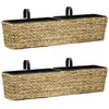 Image de vidaXL Jardinières 2 pcs Jacinthe d'eau