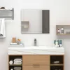 Image de vidaXL Miroir Mural Miroir Cosmétique Maquillage Miroir de Décoration Salle de Bain Chambre à Coucher Maison Intérieur 60x50 cm Verre