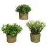 Image de Kaemingk Plante décorative Basic Home Artificielle Corde Vert 16 x 3 cm