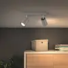 Image de Philips myLiving Paisley Spot GU10 à 2 lampes alu