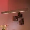 Image de Philips Hue Ensis suspension LED, RGBW