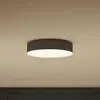 Image de Philips Hue Enrave Plafonnier LED 26,1cm noir