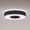 Image de Plafonnier LED Philips Hue Infuse, 38,1 cm, noir, à intensité variable.
