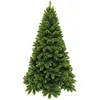 Image de Triumph Tree - Tsuga Sapin de Noel Vert Tips 978 - h230xd147cm