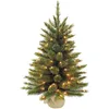 Image de Triumph Tree Forest Frosted Sapin de Noël Artificiel dans Un Sac en Toile de Jute avec éclairage LED - 60 x 46 cm - Vert