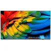 Image de PHILIPS Hotel TV 43HFL6214U/12 108,0cm (43") MediaSuite [Energieklasse F] (43HFL6214U/12)