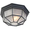 Image de Qazqa bri - Plafonnier - 1 lumière - Ø 265 mm - Gris foncé - Rustique - éclairage extérieur