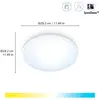 Image de Plafonnier LED WiZ SuperSlim CCT Ø29cm blanc