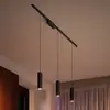 Image de Philips Hue Perifo Rail, 3 suspensions à LED, noir