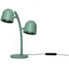 Image de Fatboy LAMPADA LITTLE LEBOW 107141 GRASSHOPPER