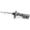 Image de BSG, Amortisseur, Avant Droit, Pression de gaz, compatible avec Opel Insignia, Numéro De Référence OE: 5344019