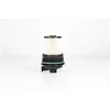 Image de BSG Filtre à carburant Cartouche filtrante Compatible avec RENAULT Megane 4 3/5 portes B9A/M/N BSG 75-130-016