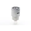 Image de BSG Filtre à carburant Filtre vissé Compatible avec NISSAN Pathfinder III R51 BSG 63-130-004