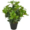 Image de vidaXL Plante Artificielle avec Pot Laurier Décor Floral Fleur Artificielle Décoration Salon Salle de Séjour Bureau Maison Intérieur 40 cm