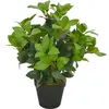 Image de vidaXL Plante artificielle avec pot Laurier Vert 40 cm