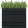 Image de vidaXL Jardinière surélevée Anthracite 100x100x77 cm Acier galvanisé